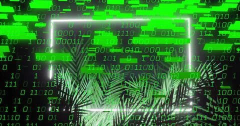 Binary code and data processing image over tropical palm leaves 스톡 사진
