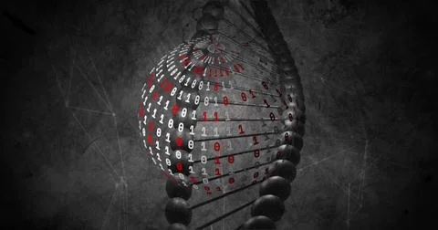 Binary code and DNA strand, scientific data processing image 库存插图