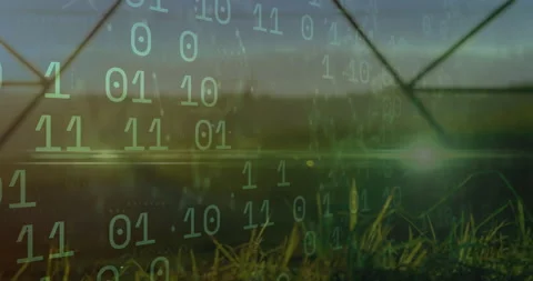 Binary code animation over green landscape with grass and sunlight Stock Footage 305884411