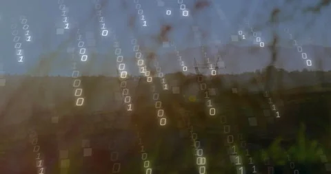 Binary code animation over scenic landscape with trees and hills Stock Footage 305884195
