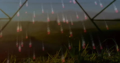 Binary code animation over scenic landscape with grass and distant hills Vidéo 306214297