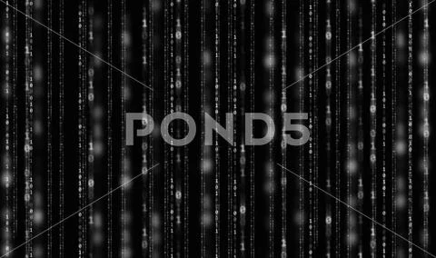 Binary Code backgrounds, a sequence of zero and one number on a black and w.. 库存插图