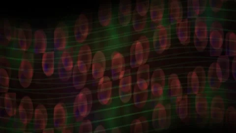 Binary code on computer screen display. Stock Footage 333922928