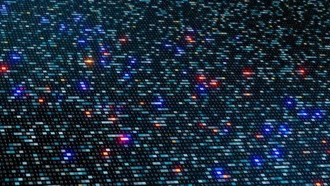 Binary code cybersecurity encryption data technology concept Stock Footage 163316317