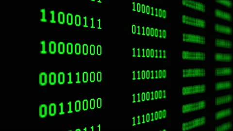 Binary code green digits move at black animation Stock Footage 187697664