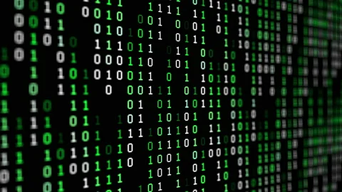 Binary code green digits move at black animation Stock Footage 202325294