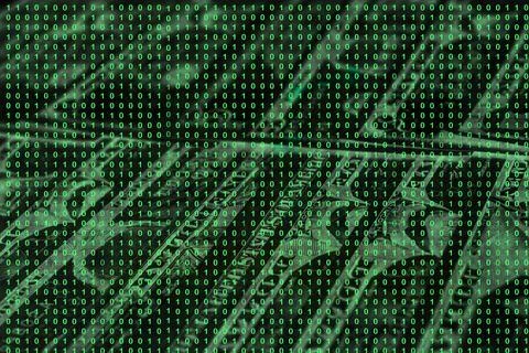 Binary code grid from bright green numbers on the background of dollar bankno Stock Photos