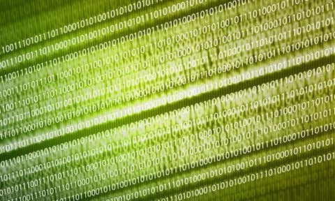 Binary code Stock Illustration