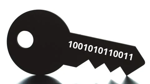 Binary code on the key silhouette Stock Illustration
