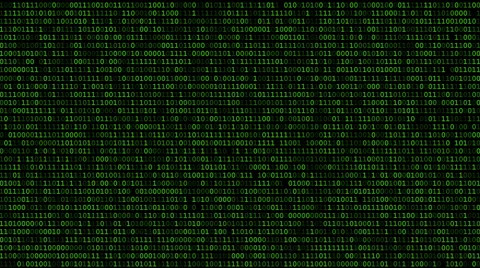 Binary Code Listing Stock Footage 66538059