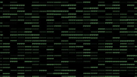 Binary Code Listing Video Animated Background Stock Footage 342477104