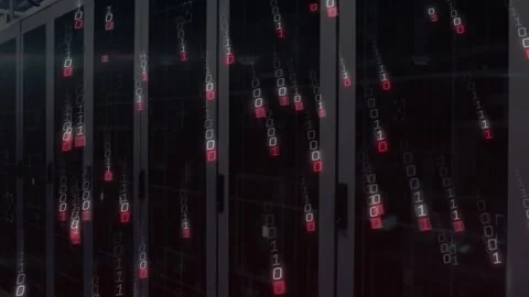 Binary code materializing before server cabinets, cascading downward, densifying Stock Footage 320067939