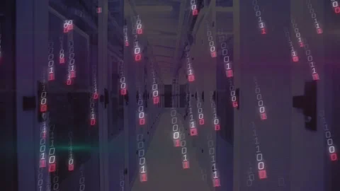 Binary code materializing in server corridor glitching then cascading data rain Stock Footage 320067960