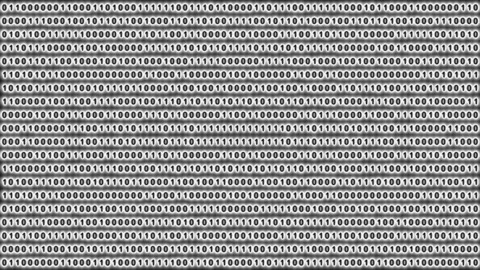 Binary Code Matrix Digital Background in Black and White Stock Footage 291684419