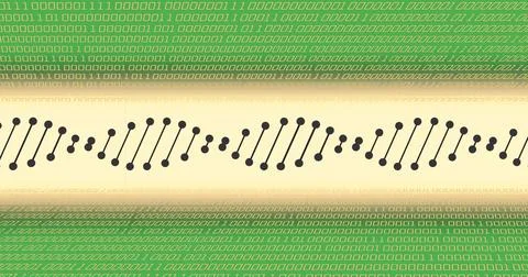 Binary code over dna strand illustration 库存插图