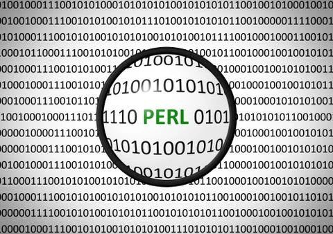 Binary code with PERL and magnifying lens on white background Stock Illustration