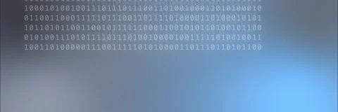 Binary code rows background template animation in gray and blue Stock Footage 340557727