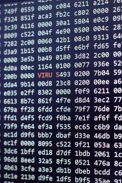 Binary code screen close up 스톡 사진