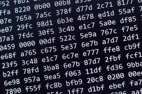 Binary code screen close up 스톡 사진