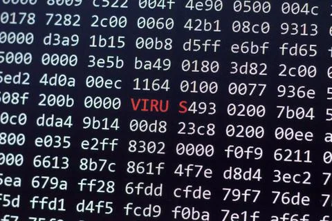 Binary code screen close up Stock Photos