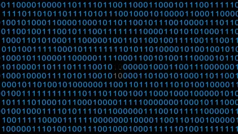 Binary code. Zeros and ones on screen. Programming concept. Coding.	 Stock Footage 169597743