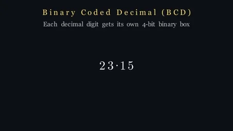 Binary Coded Decimal Video stock 340996846