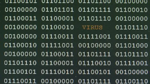 Binary codes data flow scrolling on screen Stock Photos