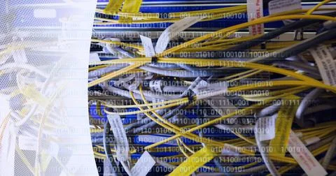 Binary coding data processing over close up of computer server against white Stock Photos