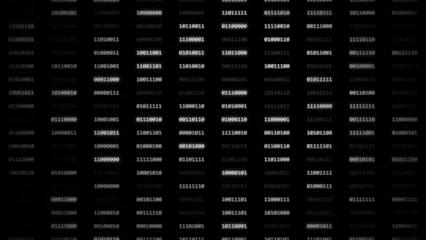 Binary digits 1 and 0. White binary code sequences on a black background Video stock 341838378