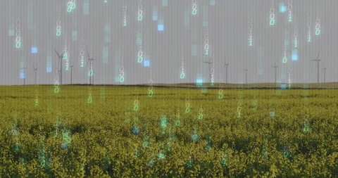 Binary digits appearing then falling over flowering field and turbines, Stock Footage 312757996