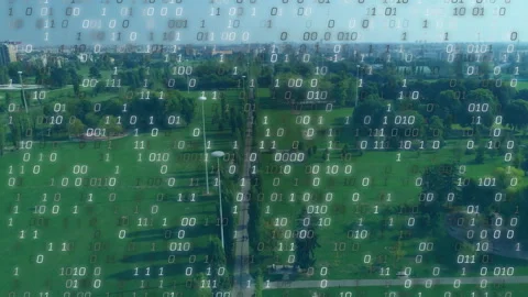Binary digits emerging from top edge, drifting down to form dense grid obscuring Stock Footage 311949664
