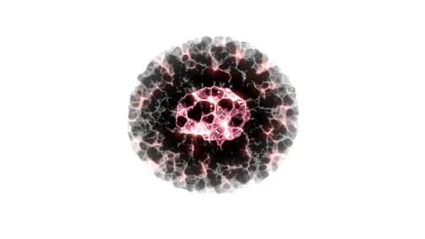 Binary fission cells division on white background Stock Illustration