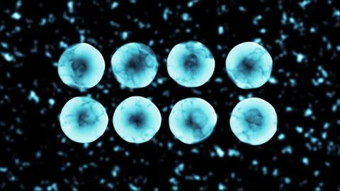 Binary Fission Transparent Cell Division 3D illustration Illustrazione stock