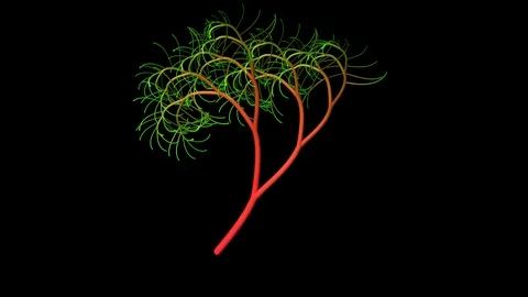 Binary fractal tree growing. 3d animation Stock-Footage 95549551