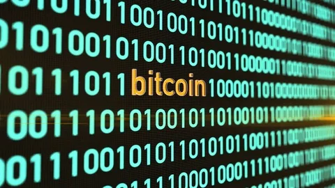 Binary grid - BITCOIN Stock Footage 84480582