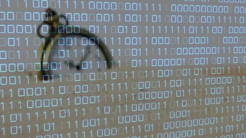 Binary grid fading, pocket watch emerging left, face sharpening to reveal brass Stock Footage 329122003