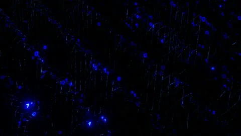 Binary matrix of blue ones and zeros rotating and flashing. Digital background Stock Footage 238548038