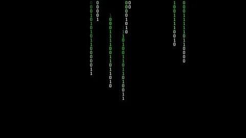 Binary Matrix Rain Stock Footage 81570643