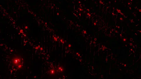 Binary matrix of red ones and zeros rotating and flashing. Digital background 스톡 동영상 238547758