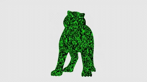 Binary Matrix Tiger Roaring Stock Footage 331514391
