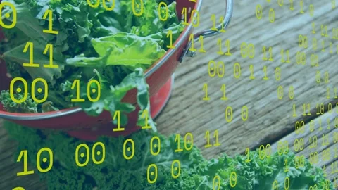 Binary overlay appearing, yellow digits streaming over red colander of kale, Stock Footage 334744065