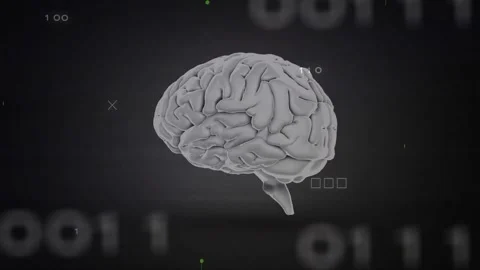 Binary pulse activating, 3D brain model rotating with green HUD scanning and Stock Footage 329505903