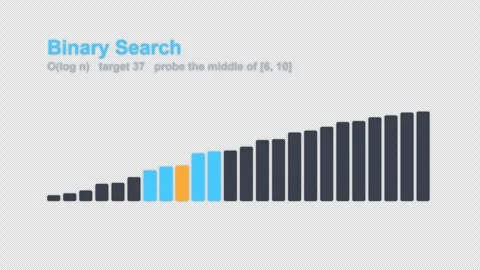 Binary Search Labeled Algorithm Visualization Animation Alpha 4K Vídeo Stock 339515400