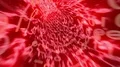 Binary tunnel wormhole flight through space warp speed dimension 4k 4k or 4k+ Resolution