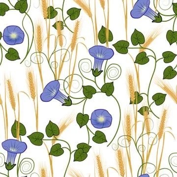 Bindweed and wheat on a white background seamless pattern Stock Illustration