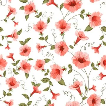 Bindweed , floral background, seamless pattern Stock Illustration