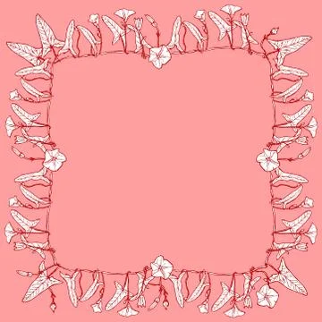 Bindweed floral square frame, border wreath for your text branch with leaves Stock Illustration