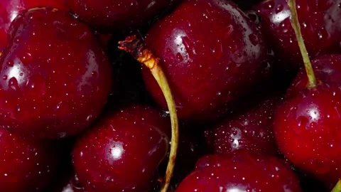 Bing cherry Video stock 326052002