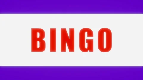 Bingo Stock Footage 301445741