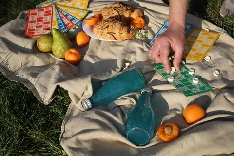 Bingo picnic 2 Stock Photos